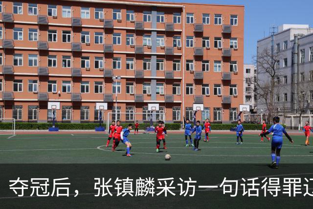 夺冠后，张镇麟采访一句话得罪辽宁，辽蜜：有本事到四川证明价值